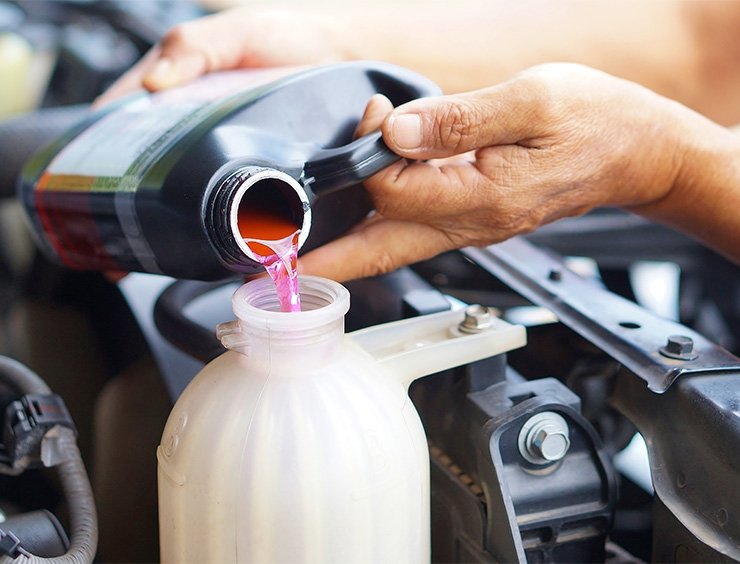 In cosa consiste il tagliando?