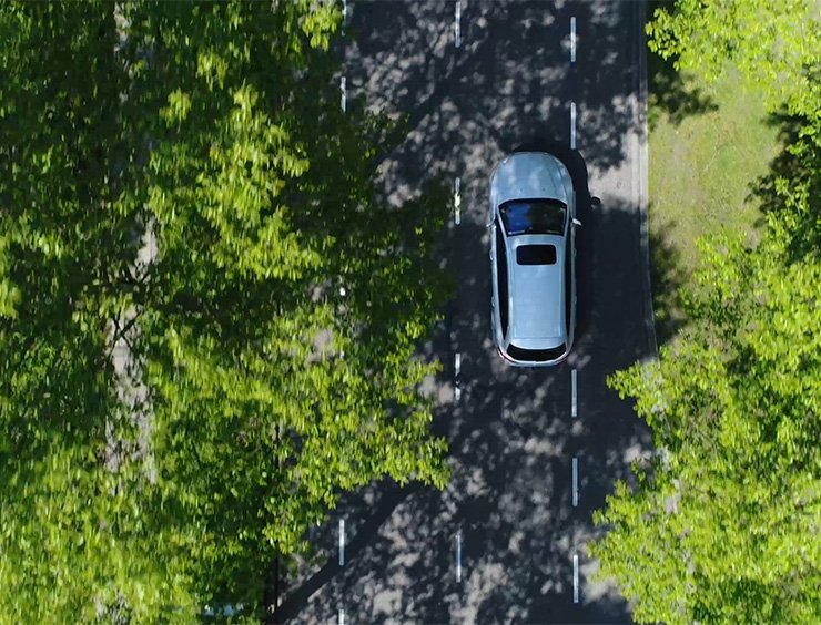 Vantaggi e svantaggi